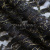 Кружевное полотно XD LACE 1-4, 80 гр/м2, шир.150см, цвет чёрный - купить в Петрозаводске. Цена 245.94 руб.