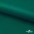 Ткань подкладочная Таффета, 19-5420, 53 г/м2, антистатик, шир. 150 см, вечнозеленый - купить в Петрозаводске. Цена 57.16 руб.