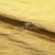 Текстильный материал "Диско"#1805 с покрытием РЕТ, 40гр/м2, 100% полиэстер, цв.5-золото - купить в Петрозаводске. Цена 412.36 руб.