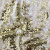 Трикотажное полотно, Сетка с пайетками, шир.130 см, #315, цв.-белый/золото - купить в Петрозаводске. Цена 693.39 руб.