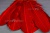 Декоративный Пучок из перьев, перо 23см/красный - купить в Петрозаводске. Цена: 11.16 руб.