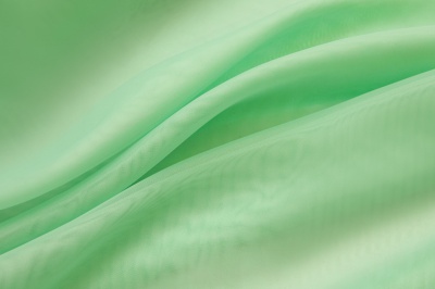 Портьерный капрон 13-6009, 47 гр/м2, шир.300см, цвет св.зелёный - купить в Петрозаводске. Цена 143.68 руб.