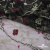 Сетка с вышивкой "Мадрид" 135 г/м2, 100% нейлон, ширина 130 см, Цвет 4/Черный - купить в Петрозаводске. Цена 980 руб.