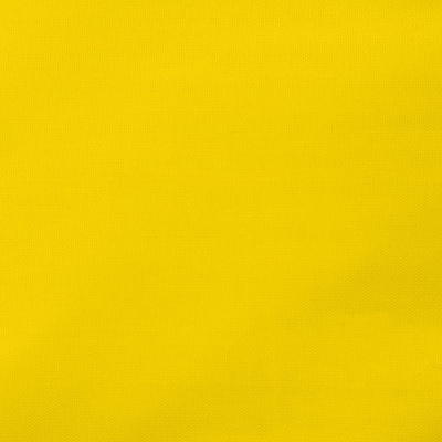 Ткань подкладочная Таффета 13-0758, антист., 53 гр/м2, шир.150см, цвет жёлтый - купить в Петрозаводске. Цена 62.37 руб.