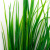 Трава искусственная -2, шт (осока 41см/8 см)				 - купить в Петрозаводске. Цена: 104.57 руб.