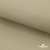 Ткань подкладочная TWILL 230T 14-1108, беж светлый 100% полиэстер,66 г/м2, шир.150 cм - купить в Петрозаводске. Цена 90.59 руб.