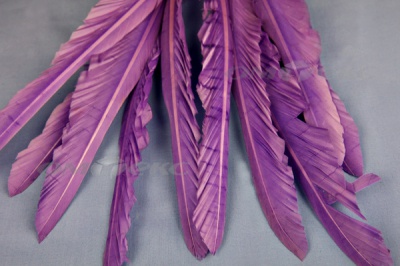Декоративный Пучок из перьев, перо 25см/фиолетовый - купить в Петрозаводске. Цена: 12.19 руб.