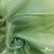 Ткань органза, 100% полиэстр, 28г/м2, шир. 150 см, цв. #27 зеленый - купить в Петрозаводске. Цена 86.24 руб.