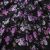Плательная ткань "Фламенко" 20.1, 80 гр/м2, шир.150 см, принт растительный - купить в Петрозаводске. Цена 241.49 руб.