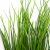 Трава искусственная -4, шт  (осока 50 см/8 см  7 листов)				 - купить в Петрозаводске. Цена: 130.73 руб.