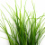 Трава искусственная -3, шт (осока 50 см/8 см  5 листов)				 - купить в Петрозаводске. Цена: 124.17 руб.